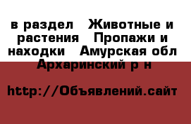  в раздел : Животные и растения » Пропажи и находки . Амурская обл.,Архаринский р-н